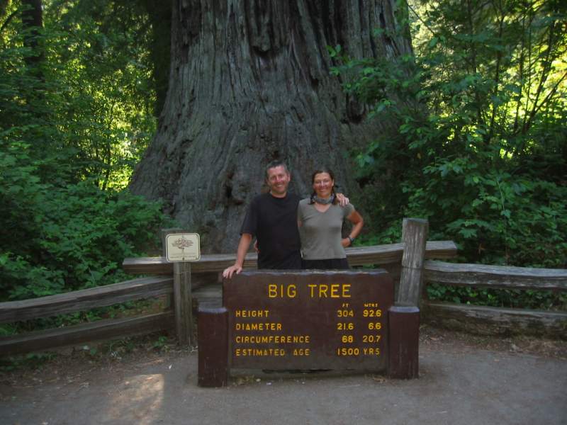 <i><b>297-Redwood NP</b></i>